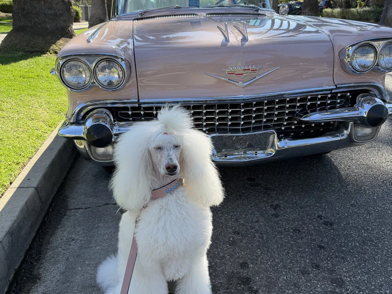 1958 Cadillac Deville 7