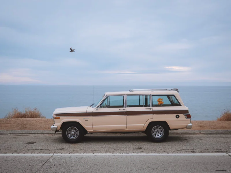 1982 Jeep Wagoneer in Joshua Tree 4