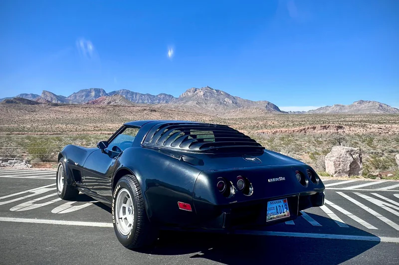 1979 Chevrolet Corvette Base 3