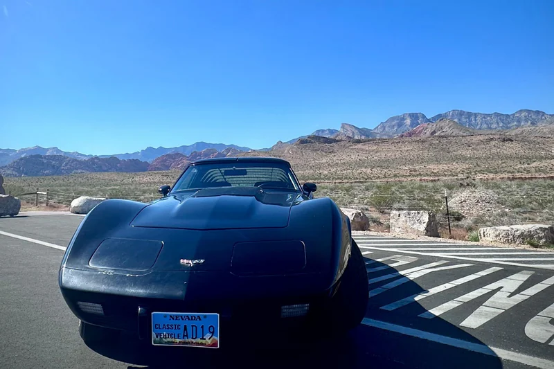 1979 Chevrolet Corvette Base 6