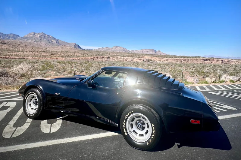 1979 Chevrolet Corvette Base 7