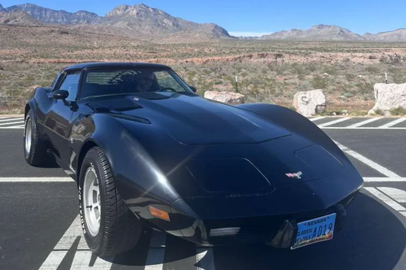 1979 Chevrolet Corvette Base 8