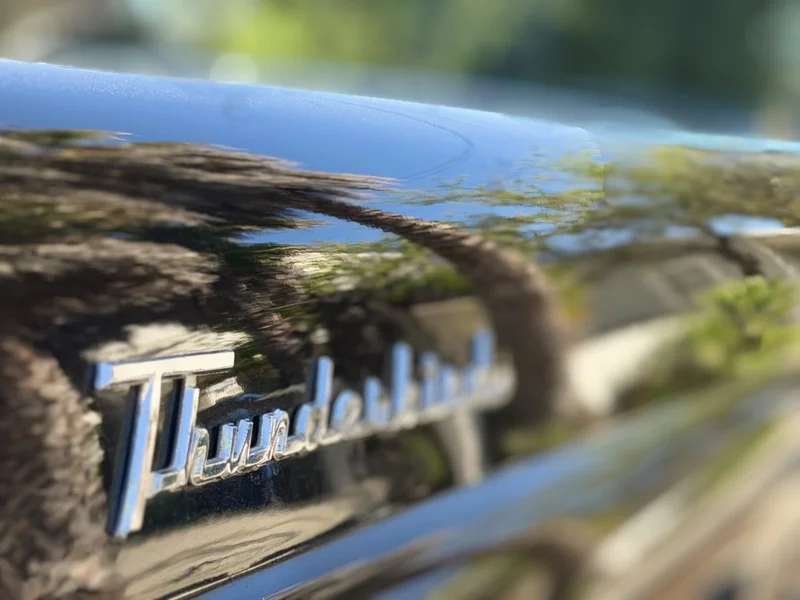 1955 Ford Thunderbird Base 5