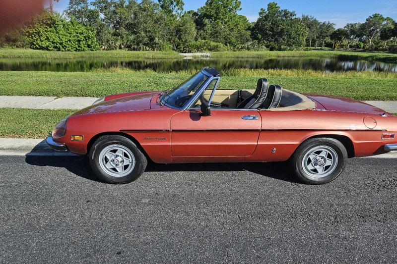 1981 Alfa Romeo Spider