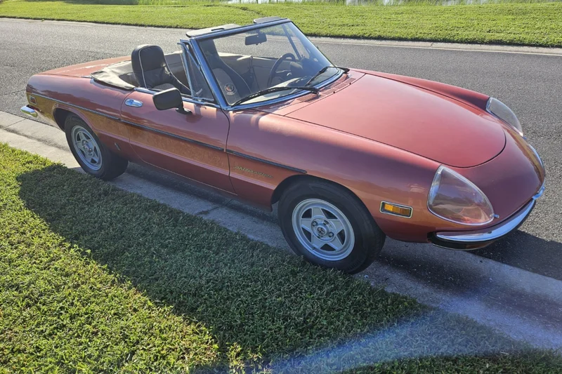 1981 Alfa Romeo Spider
