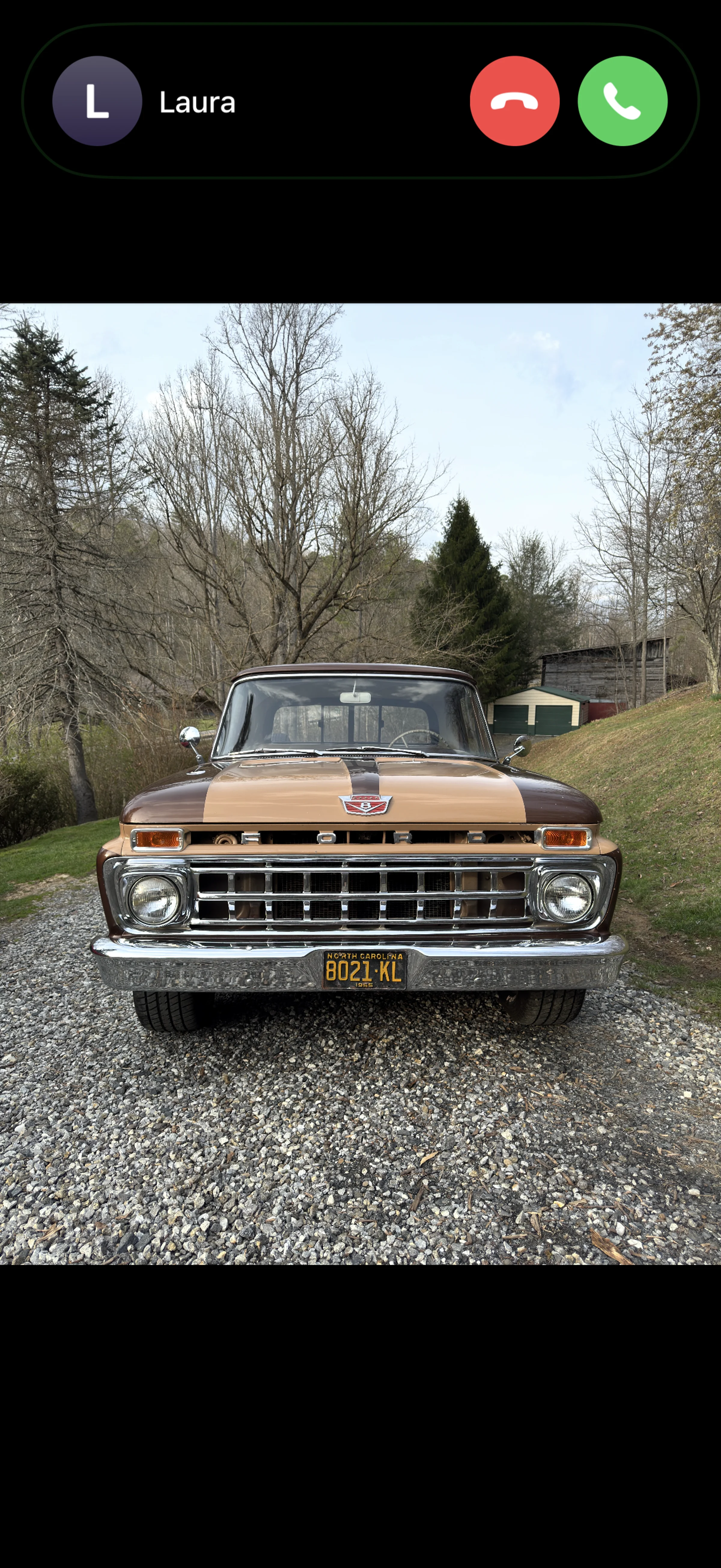 1965 Ford F-100