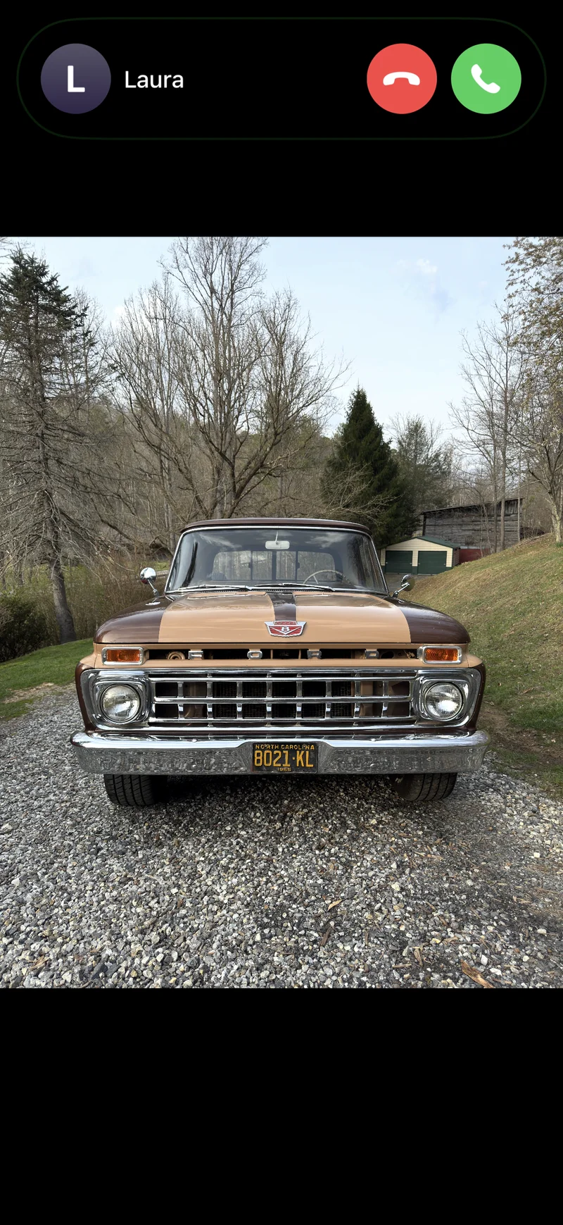 1965 Ford F-100