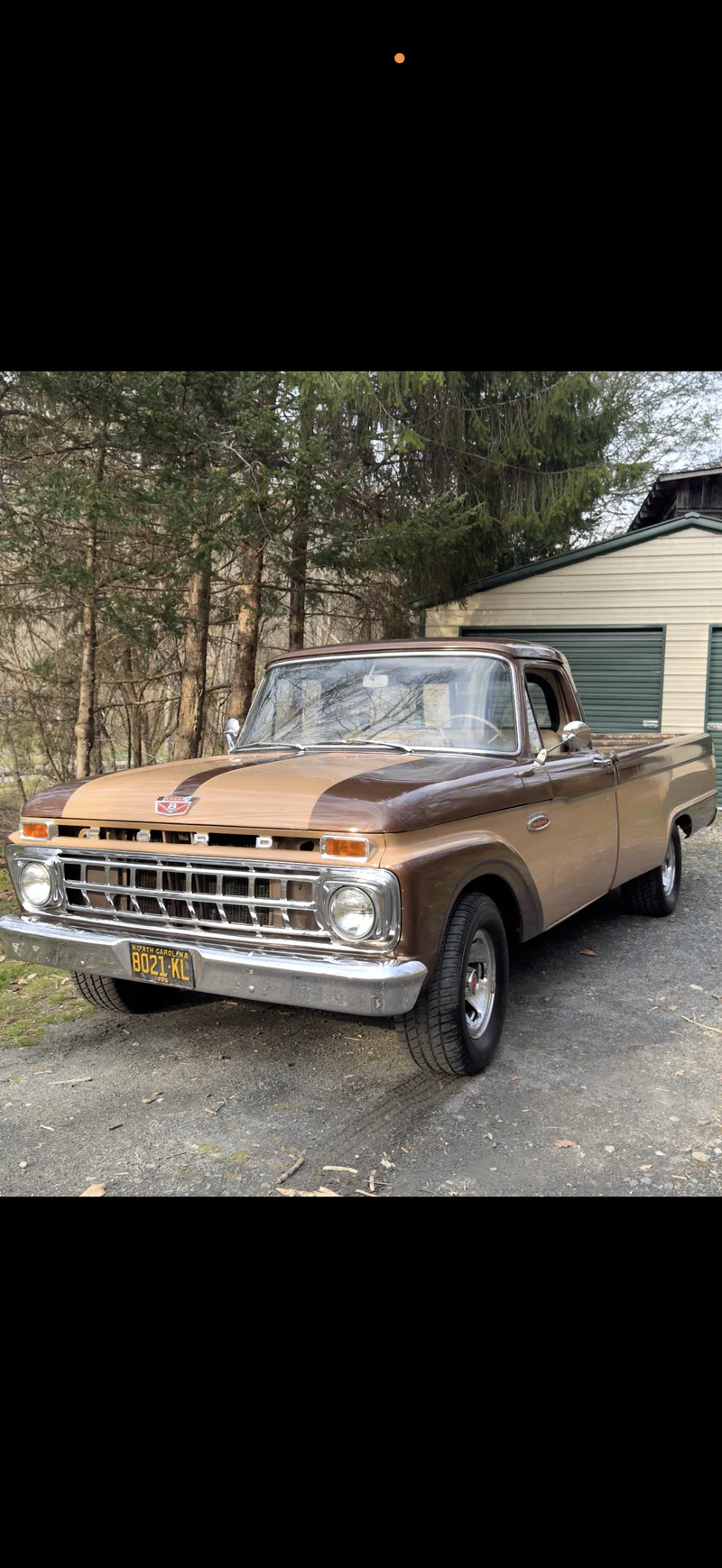 1965 Ford F-100