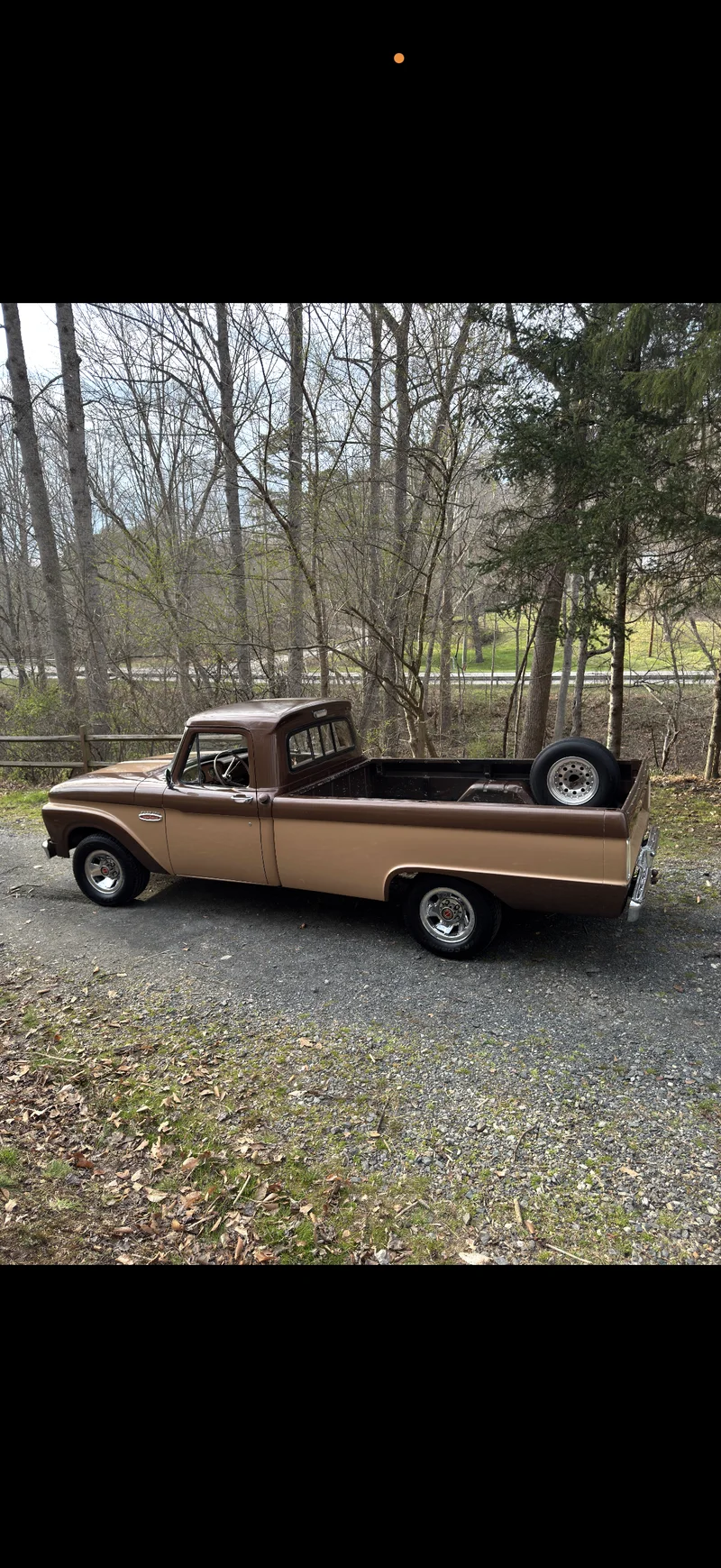 1965 Ford F-100