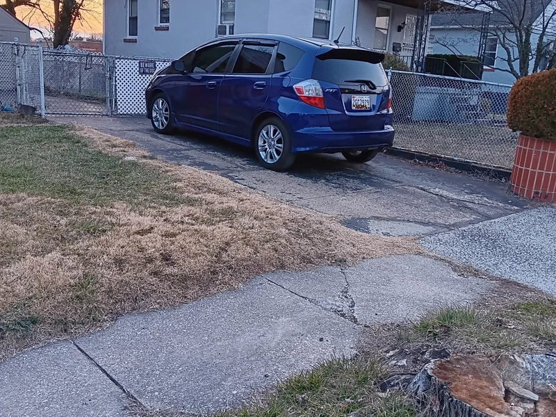 2010 Honda Fit Sport 4