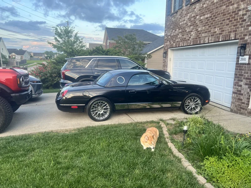 2003 Ford Thunderbird