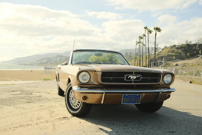 1965 Ford Mustang Base 3
