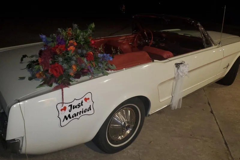 1964 Ford Mustang Base 2
