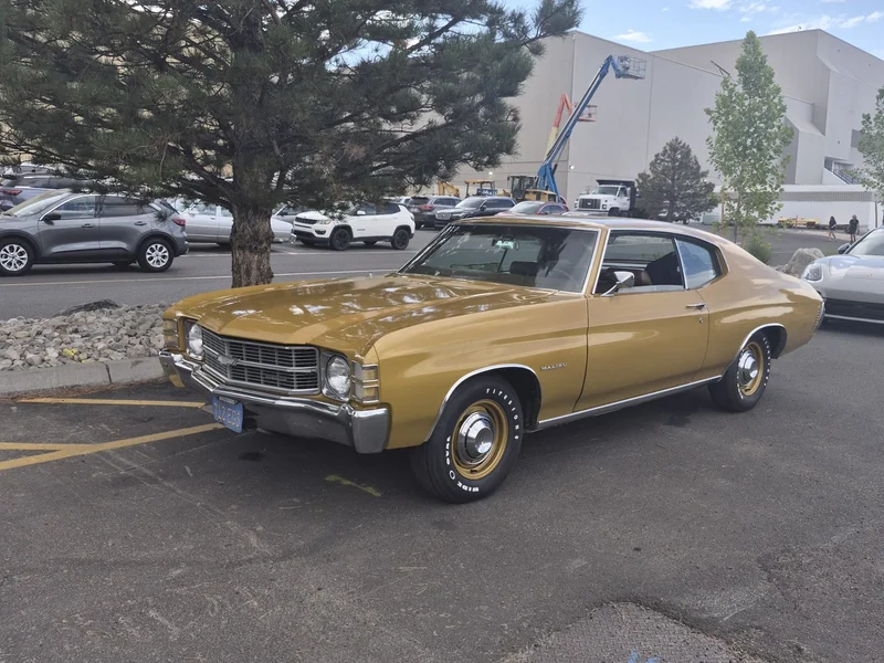 1971 Chevrolet Chevelle Malibu Chevelle 9