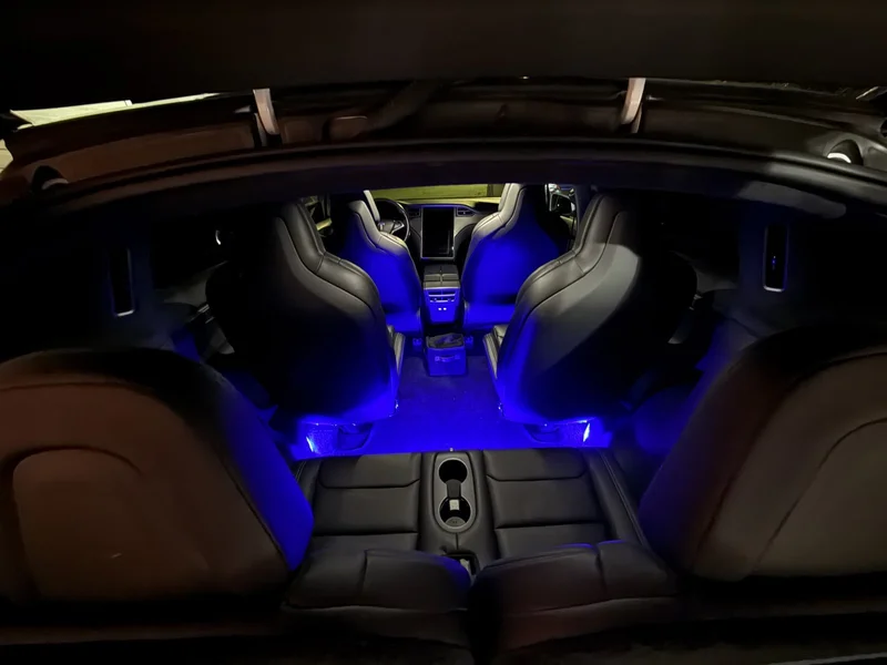 2019 Tesla X P100D 2