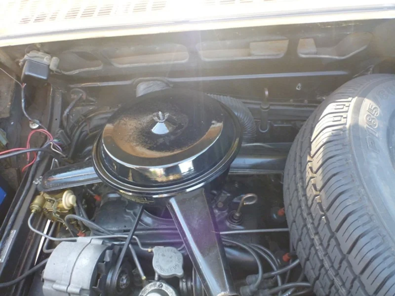 1965 Chevrolet Corvair in Godley 14