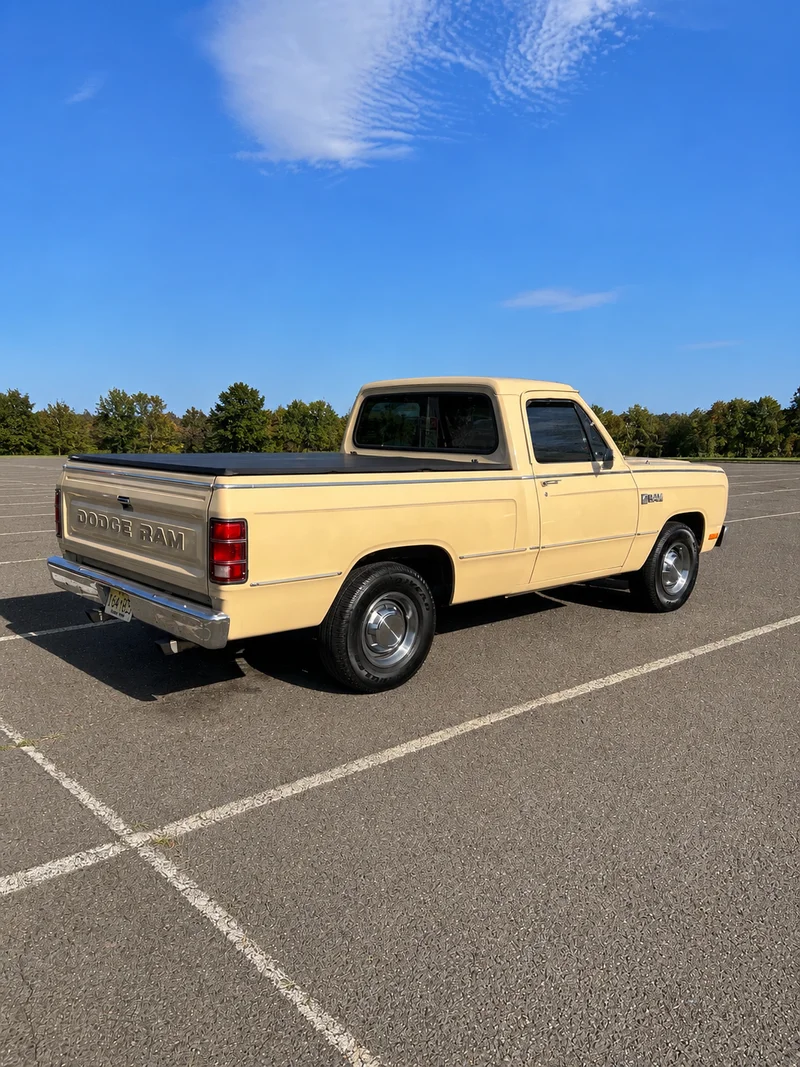 1985 Dodge D150 1/2 Ton 3