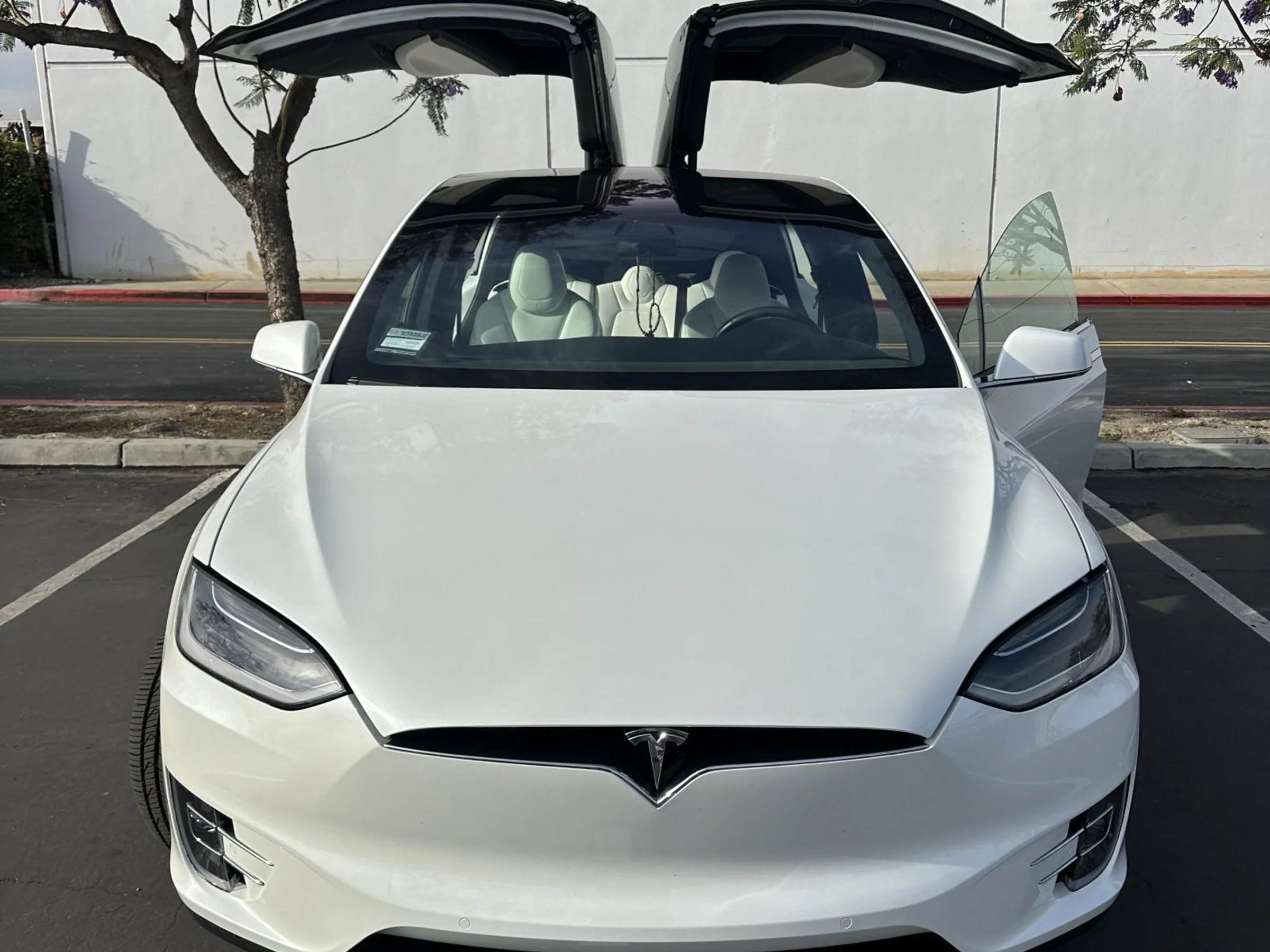 2019 Tesla Model X
