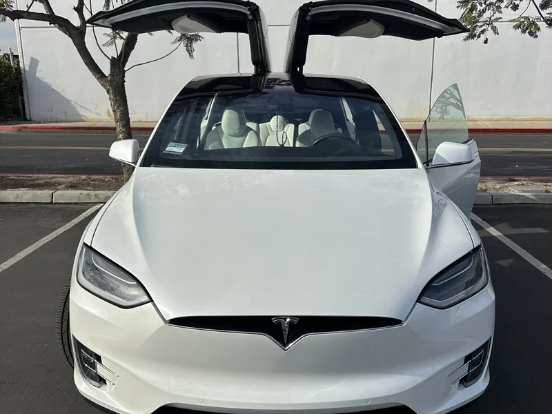2019 Tesla Model X P100D
