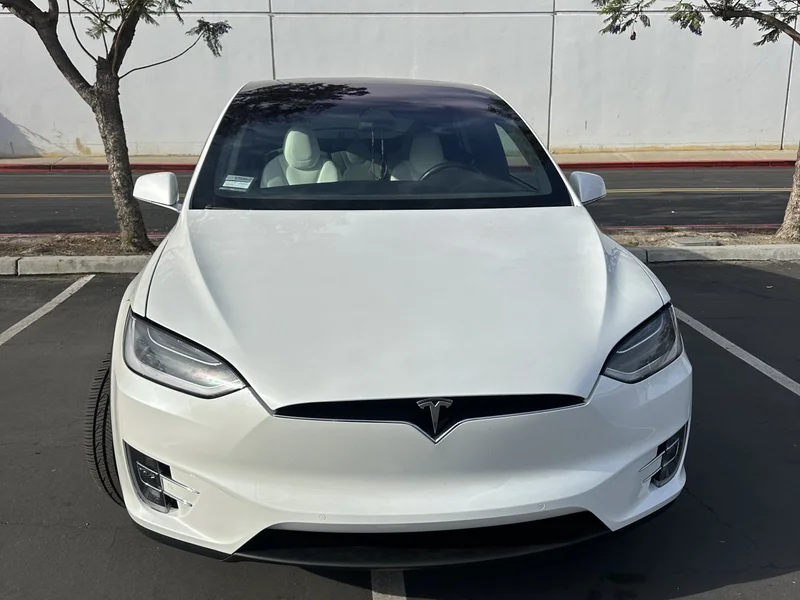 2019 Tesla Model X P100D 5