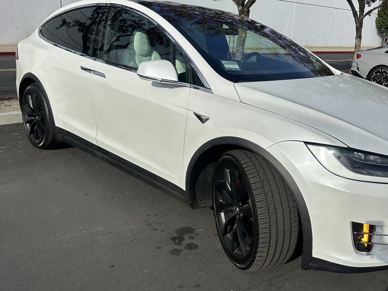 2019 Tesla Model X P100D 6