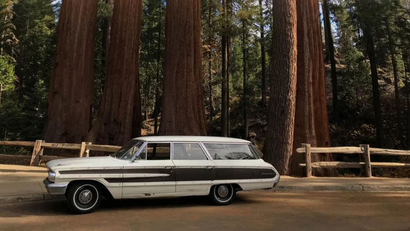 1964 Ford Country Squire 6