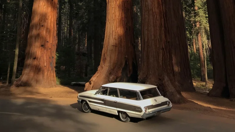 1964 Ford Country Squire 7