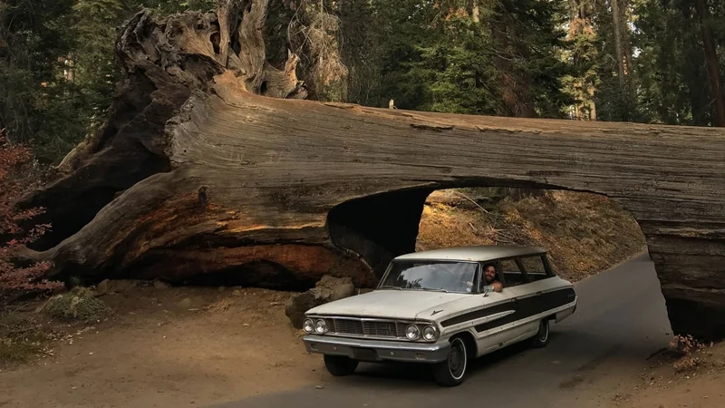 1964 Ford Country Squire 8