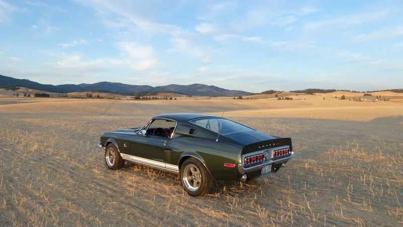 1968 Shelby Mustang