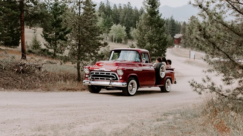 1957 Chevrolet 3200 10