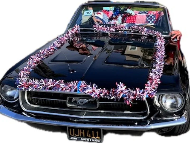 1967 Ford Mustang  19