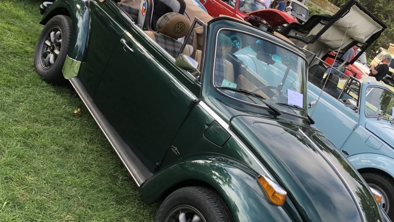 1977 Volkswagen Super Beetle