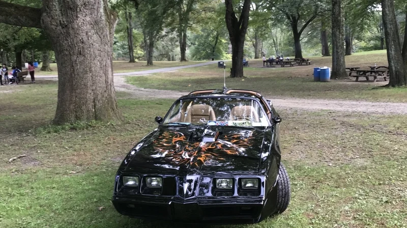 1979 Pontiac Trans am 5