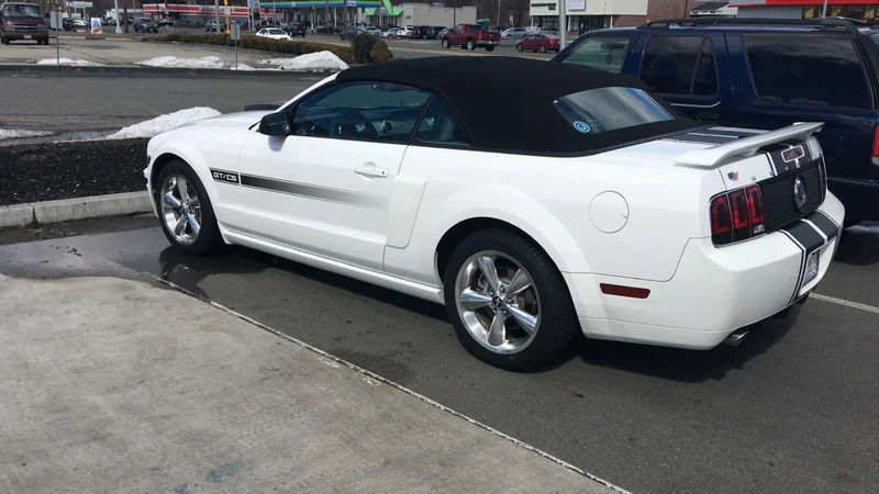 2008 Ford Mustang GT California Special  10