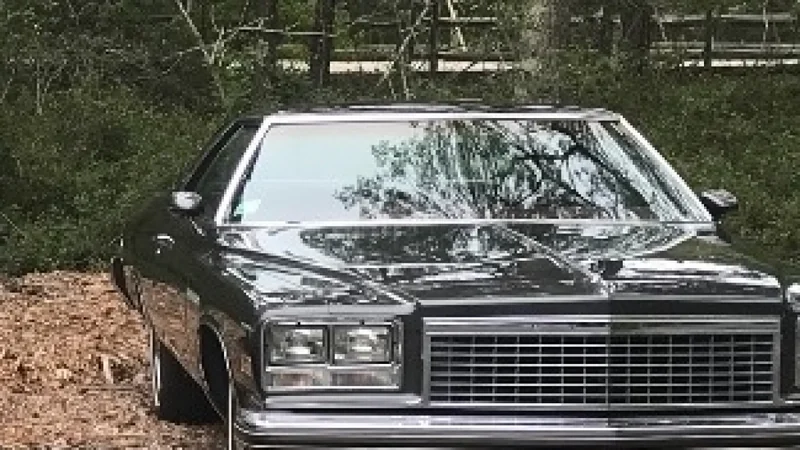 1976 Buick LeSabre 3