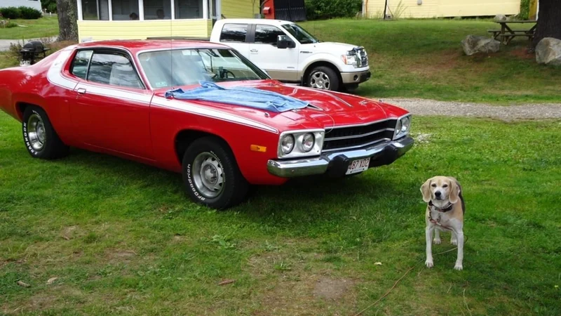 1973 Plymouth Road Runner 5