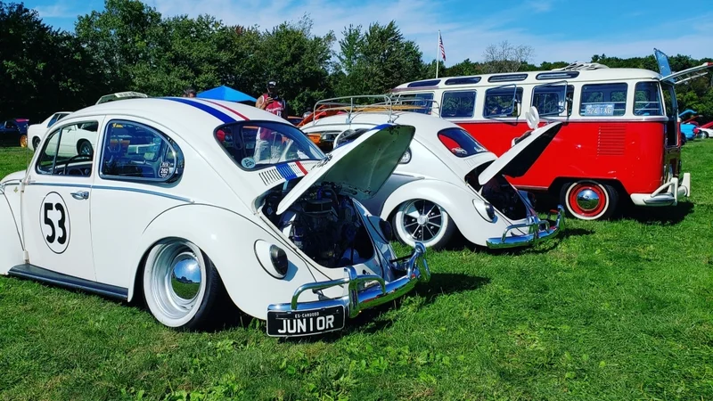 1964 Volkswagen Beetle 7
