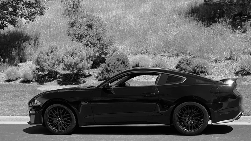 2019 Ford Mustang 4