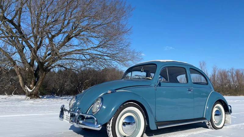1959 Volkswagen Beetle 3