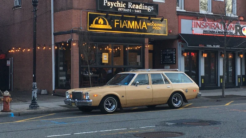 1978 Dodge Aspen Wagon 19