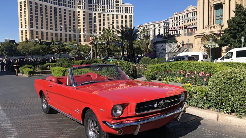 1965 Ford Mustang 4