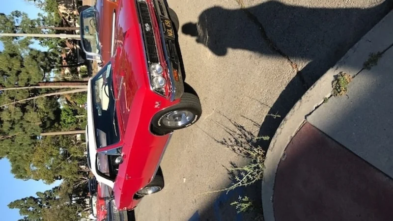 1966 Chevrolet Chevelle 5