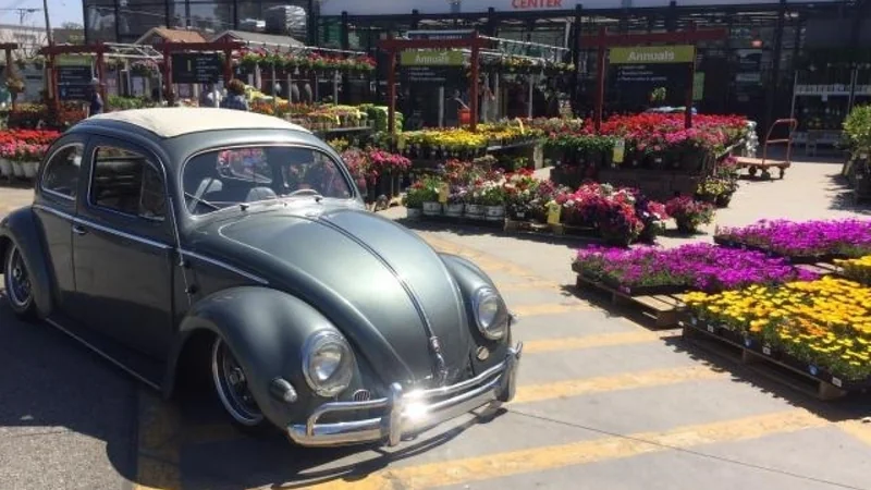 1955 Volkswagen Beetle