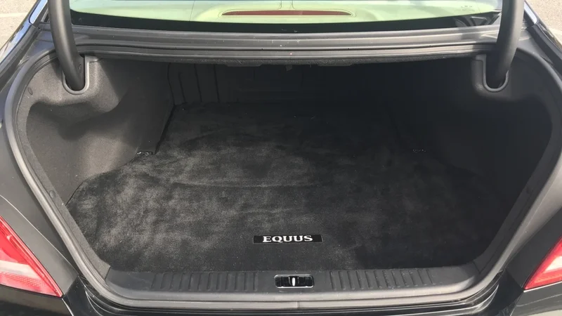 2014 Hyundai Equus 10