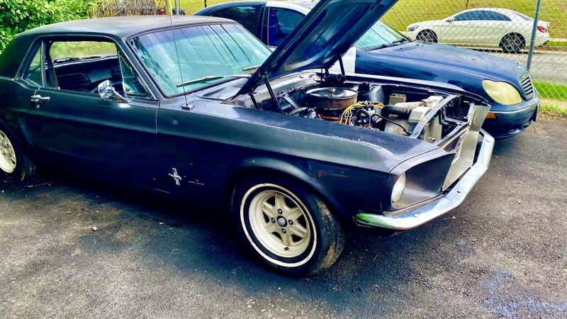 1967 Ford Mustang 3