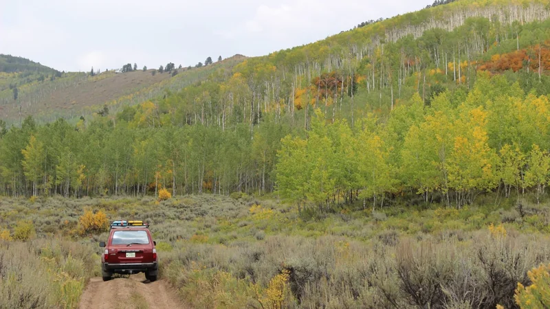 1993 Toyota Land Cruiser 5