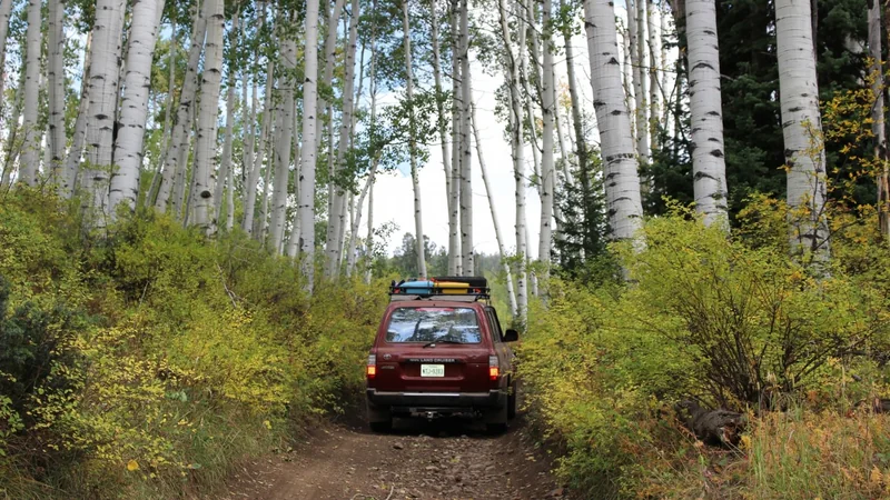 1993 Toyota Land Cruiser 4
