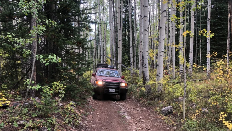 1993 Toyota Land Cruiser 2