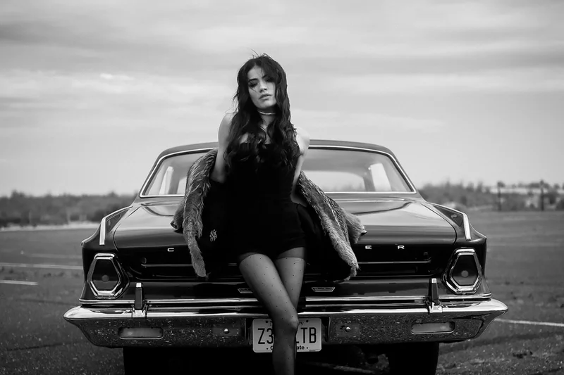 1964 Chrysler Newport 6