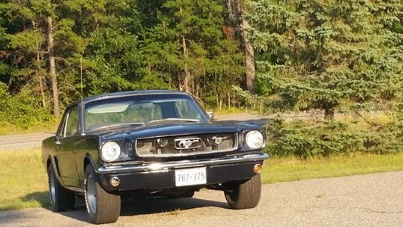 1965 Ford Mustang 2